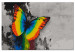 Peinture par numéros Colourful Butterfly 108000 additionalThumb 6
