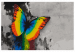 Peinture par numéros Colourful Butterfly 108000 additionalThumb 7