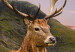 Papier peint moderne Cerf sur la colline - animal sur fond de montagnes 129420 additionalThumb 4