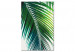 Kit de peinture par numéros Green Plume 134521 additionalThumb 6
