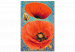 Kit de peinture Red Poppies - Meadow Flowers on a Turquoise Decorative Background 144141 additionalThumb 5