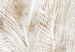 Papier peint moderne Gilded Feathers - A Delicate Drawing of Nature in a Boho Style 147651 additionalThumb 3