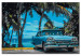Numéro d'art Car under Palm Trees 114171 additionalThumb 6