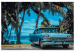 Numéro d'art Car under Palm Trees 114171 additionalThumb 7