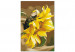 Peinture par numéros pour adultes Sunflower  138671 additionalThumb 4