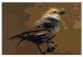 Kit de peinture par numéros Bird on Branch 114881 additionalThumb 6