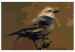 Kit de peinture par numéros Bird on Branch 114881 additionalThumb 7