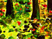 Cadre moderne Forêt – couleurs d'automne 49581 additionalThumb 3
