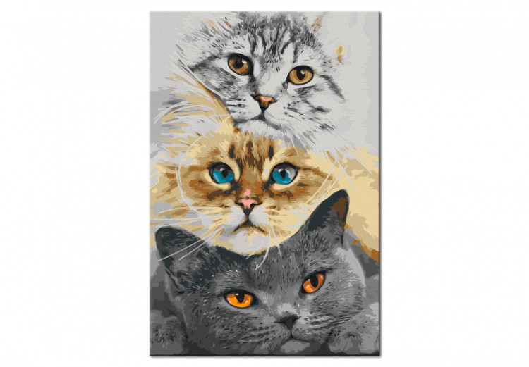 Kit de peinture par numéros Cat's Trio 132312 additionalImage 6