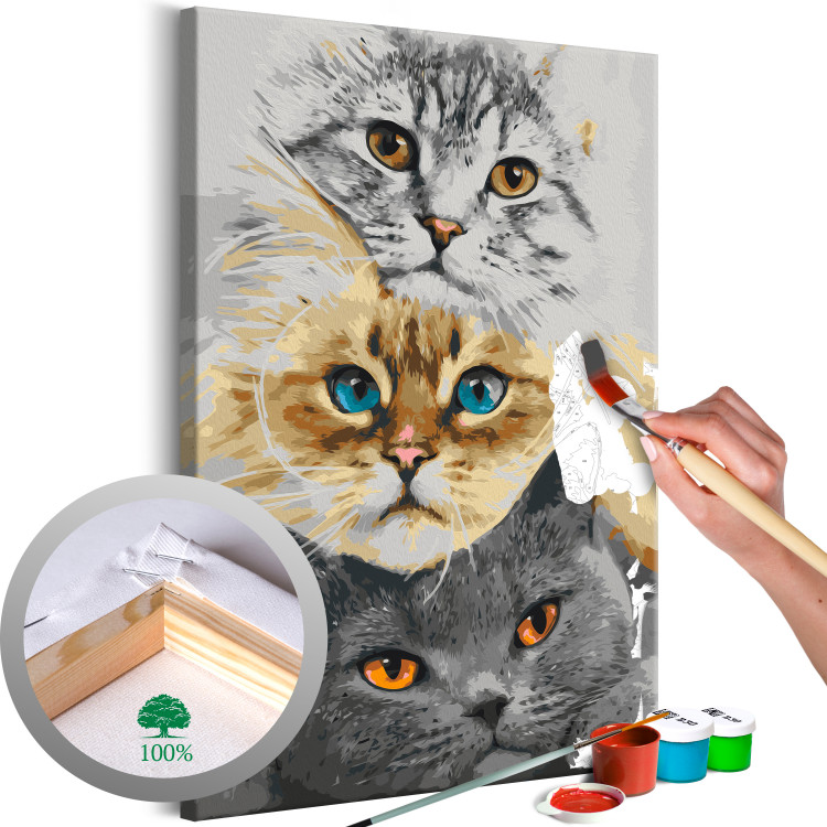 Kit de peinture par numéros Cat's Trio 132312