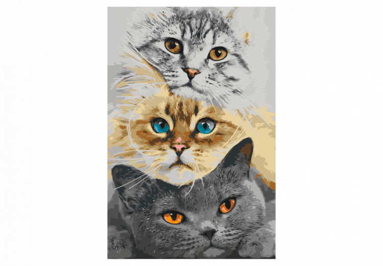 Kit de peinture par numéros Cat's Trio 132312 additionalImage 7