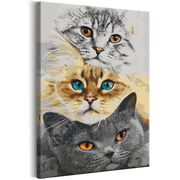 Kit de peinture par numéros Cat's Trio 132312 additionalImage 5