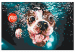 Kit de peinture Underwater Dog 138432 additionalThumb 6
