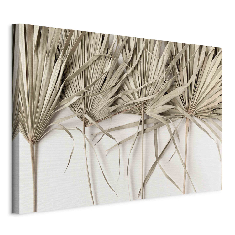 Tableau XXL Boho palm - composition with dried palm leaves on a light background [Large Format] 151242 additionalImage 2