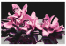 Numéro d'art Orchidée rose (fond noir) 107163 additionalThumb 7