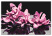 Numéro d'art Orchidée rose (fond noir) 107163 additionalThumb 6