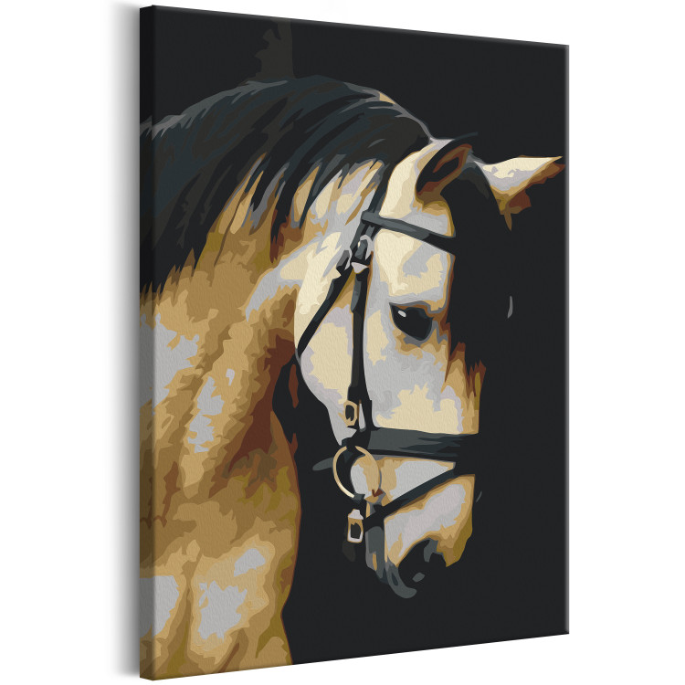 Peinture par numéros pour adultes Horse Portrait  132314 additionalImage 5