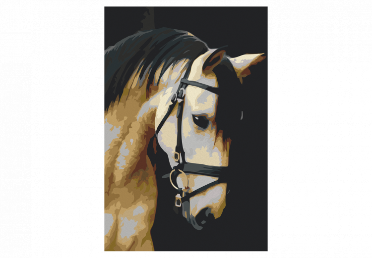 Peinture par numéros pour adultes Horse Portrait  132314 additionalImage 7