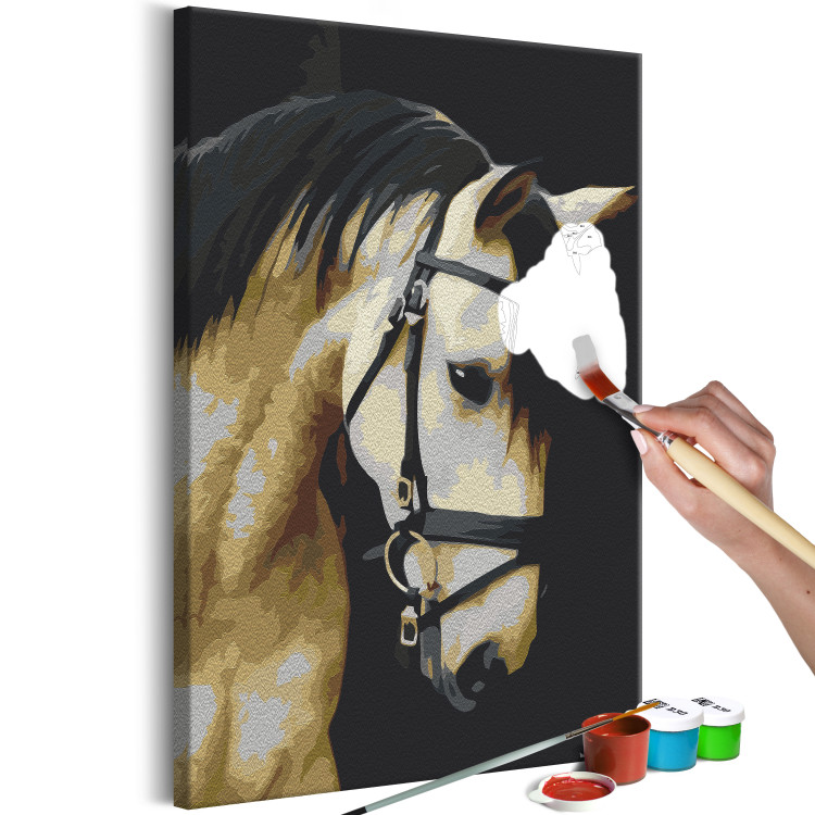 Peinture par numéros pour adultes Horse Portrait  132314 additionalImage 3