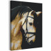 Peinture par numéros pour adultes Horse Portrait  132314 additionalThumb 5