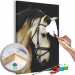 Peinture par numéros pour adultes Horse Portrait  132314