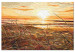 Tableau peinture par numéros Warm Breeze - Glittering Setting Sun Against the Sea 145214 additionalThumb 5
