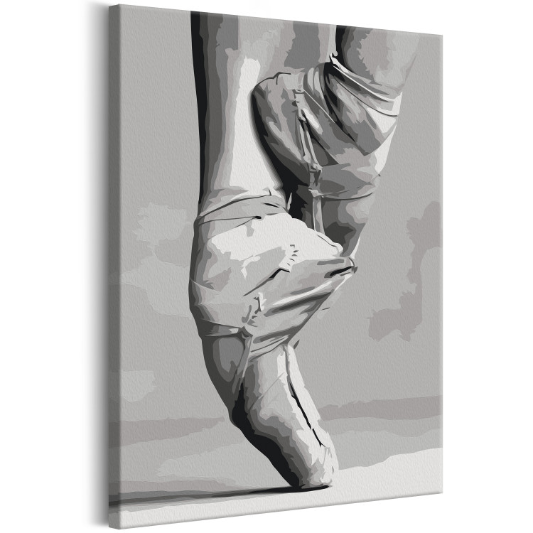 Numéro d'art adulte Ballet Shoes 134634 additionalImage 6