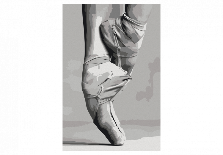 Numéro d'art adulte Ballet Shoes 134634 additionalImage 4