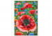 Kit de peinture Colorful Poppies - Blooming Flowers on a Joyful Decorative Background 144144 additionalThumb 3
