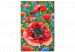 Kit de peinture Colorful Poppies - Blooming Flowers on a Joyful Decorative Background 144144 additionalThumb 4