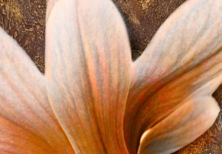 Tableau tendance Nature de magnolia (1 pièce) - Fleurs claires sur fond brun 48474 additionalImage 3