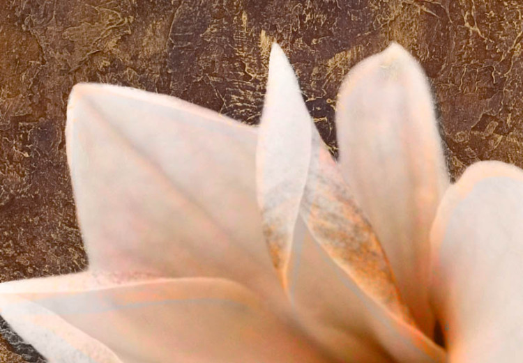 Tableau tendance Nature de magnolia (1 pièce) - Fleurs claires sur fond brun 48474 additionalImage 4