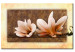 Tableau tendance Nature de magnolia (1 pièce) - Fleurs claires sur fond brun 48474
