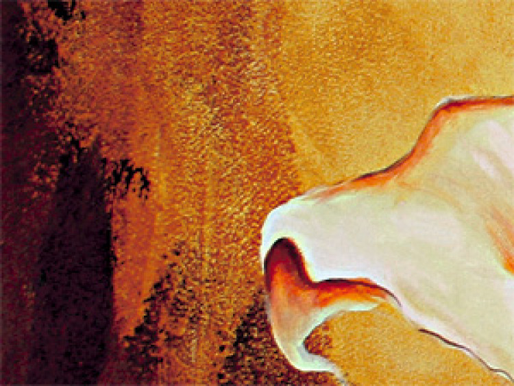 Tableau mural Callas : la subtilité  46694 additionalImage 2