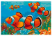 Tableau peinture par numéros Gold Fishes 107725 additionalThumb 7