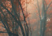 Tableau sur toile Brouillard d'automne 50595 additionalThumb 3