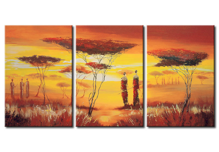 Cadre moderne Paysage africain : la magie de la lumière et de l'ombre 49216
