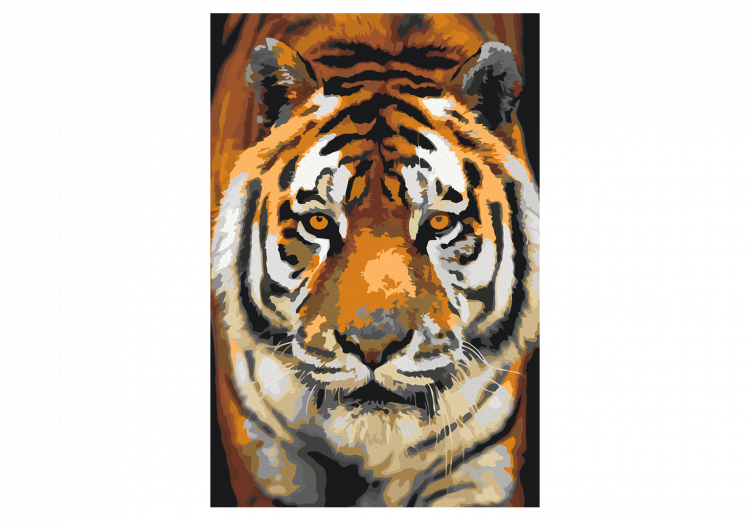 Numéro d'art Asian Tiger 127156 additionalImage 7