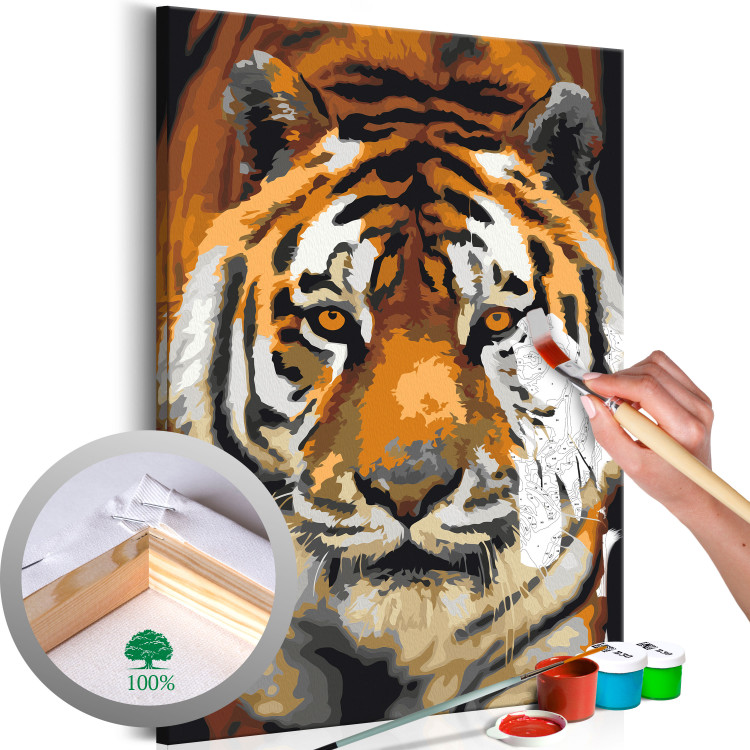 Numéro d'art Asian Tiger 127156