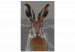 Tableau à peindre soi-même Rabbit 142566 additionalThumb 6