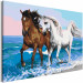 Kit de peinture Horses at the Seaside 134886 additionalThumb 6