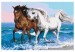 Kit de peinture Horses at the Seaside 134886 additionalThumb 4