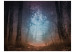 Papier peint Paysage boisé - forêt mystérieuse avec arbres et feuilles sur chemin 59927 additionalThumb 1