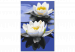 Tableau à peindre soi-même Water Lilies  138477 additionalThumb 7