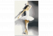 Tableau peinture par numéros Ballerina’s Shadow 143287 additionalThumb 4