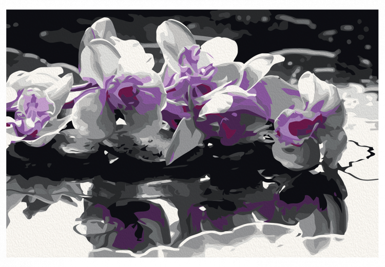 Numéro d'art Orchidée violette (fond noir et reflet dans l'eau) 107508 additionalImage 7