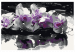 Numéro d'art Orchidée violette (fond noir et reflet dans l'eau) 107508 additionalThumb 7