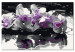 Numéro d'art Orchidée violette (fond noir et reflet dans l'eau) 107508 additionalThumb 6