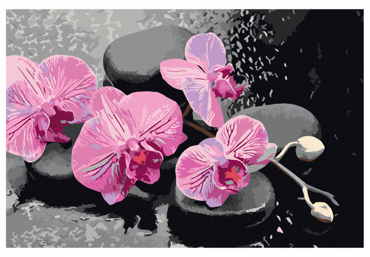 Numéro d'art Orchidée et pierres zen (fond noir) 107518 additionalImage 7