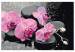 Numéro d'art Orchidée et pierres zen (fond noir) 107518 additionalThumb 7